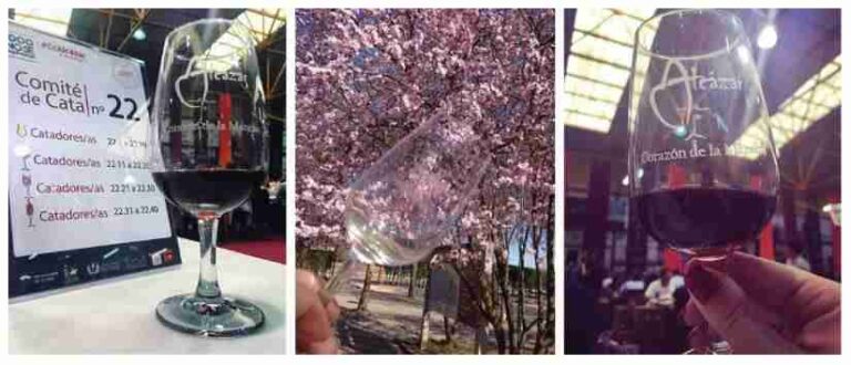 Entregados premios del concurso de fotografías del Concurso Regional de Vinos de la Tierra del Quijote