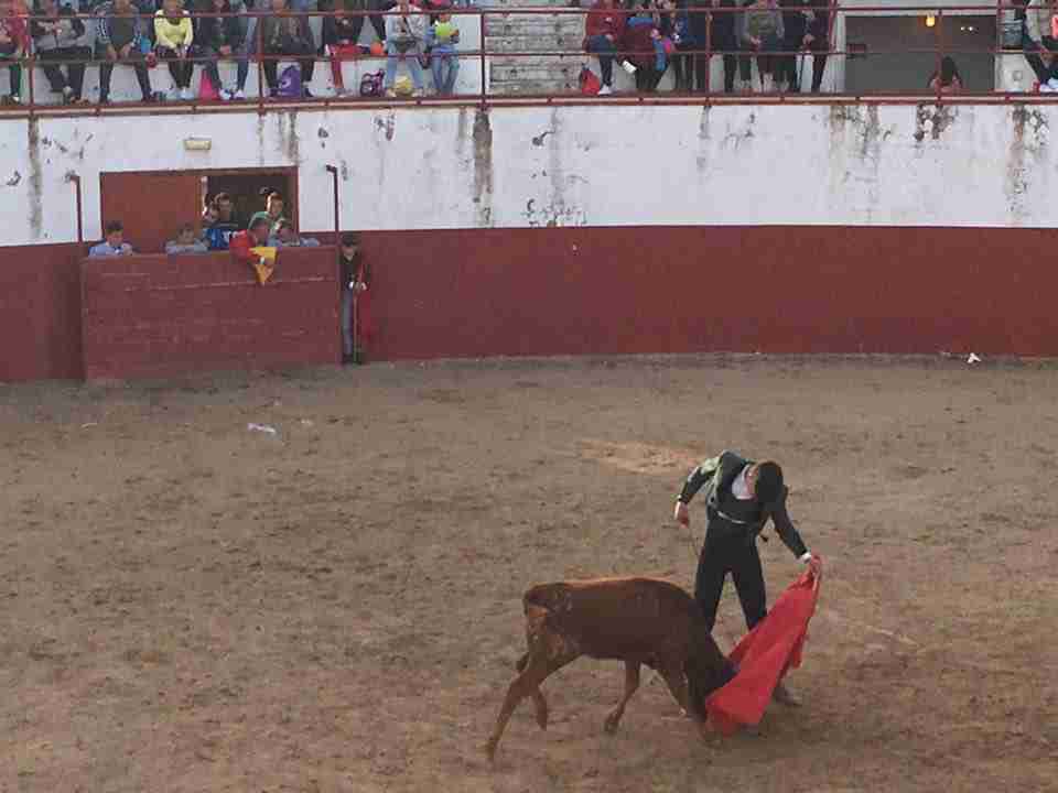 PP Alcázar acompaña a la Escuela Taurina de Alcázar en su clase práctica 2 PP Alcázar acompaña a la Escuela Taurina de Alcázar en su clase práctica 2