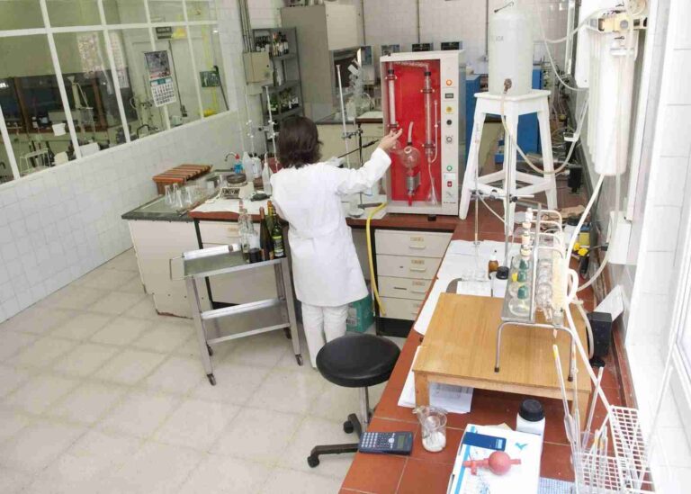 La Estación Enológica y de Viticultura volverá a estar operativa a partir del 1 de julio