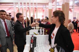 Plan estratégico del sector vitivinícola para aumentar 4 puntos el PIB de Castilla-La Mancha 9 Plan estratégico del sector vitivinícola para aumentar 4 puntos el PIB de Castilla-La Mancha 9