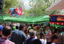 Alcázar de San Juan participó masivamente en la Romería de San Isidro en una jornada soleada 1