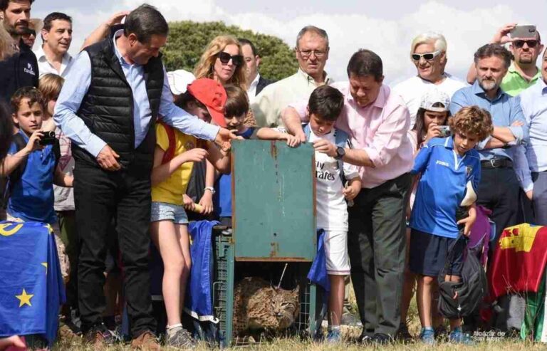 LIFE+Iberlince optará al mejor proyecto de Naturaleza y Diversidad de la Unión Europea