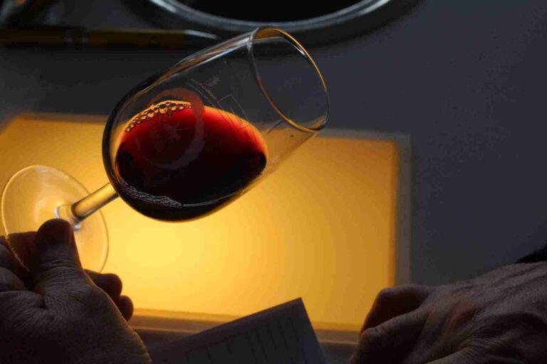 La añada 2016, “Muy buena” en DO La Mancha