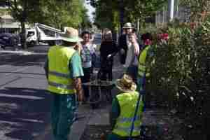 El Consistorio realiza arreglos de accesibilidad, albañilería y labores de limpieza de zonas ajardinadas en Santa Bárbara 1
