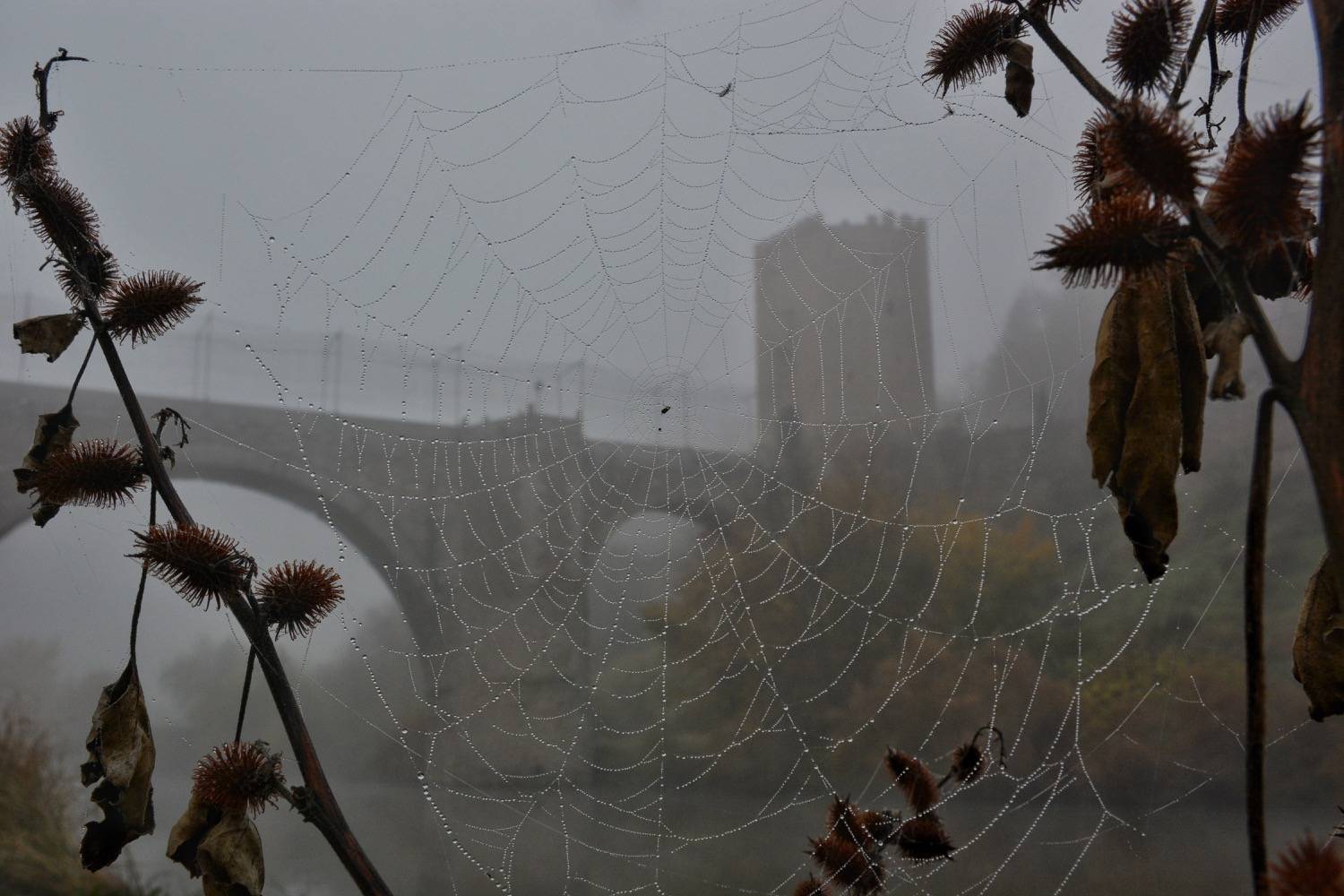 “La Catedral del Sol”, ganadora del concurso de fotografía del 30 Aniversario de “Toledo Ciudad Patrimonio” 2