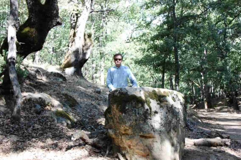 Descubierto el Paraje de la Penitencia de Don Quijote en Sierra Morena