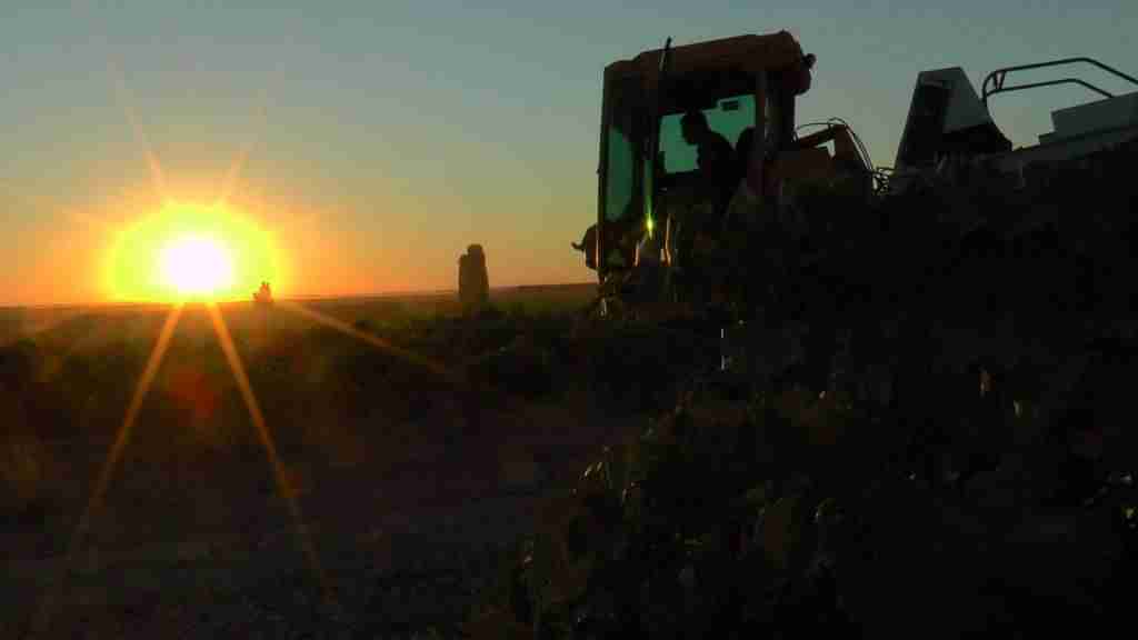 La vendimia se adelanta hasta 20 días para algunas variedades. 2