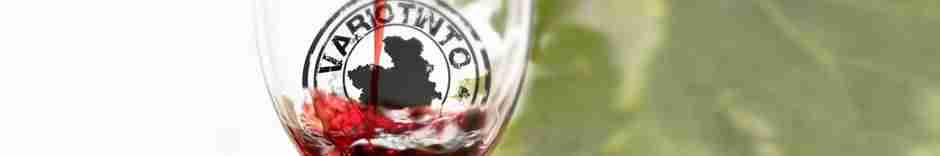 'Variotinto' el programa de la televisión regional tuvo como invitada a Rosa Melchor 1 'Variotinto' el programa de la televisión regional tuvo como invitada a Rosa Melchor 1