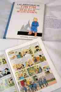 La variedad temática ha caracterizado la II Feria del Libro de Argamasilla 20 La variedad temática ha caracterizado la II Feria del Libro de Argamasilla 20