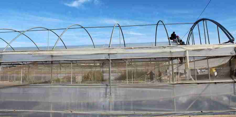 Curso de jardinería para personas con enfermedad mental 3