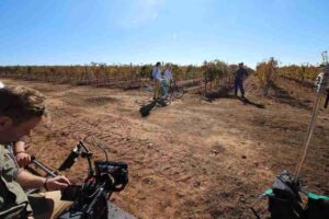 Vinos DO La Mancha, "Las cosas por su nombre" 34