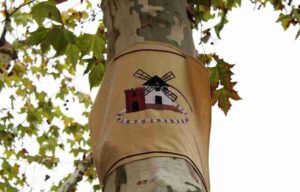 'Yarn Bombing', el arte urbano que viste los árboles llega a Alcázar por Navidad 1