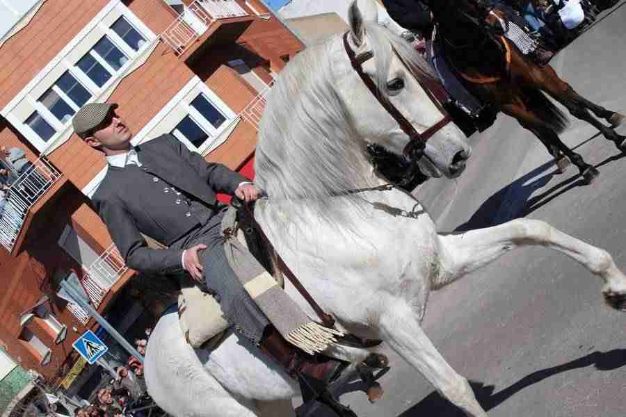 Fiestas de San Sebastián con una alta participación y buen tiempo 1