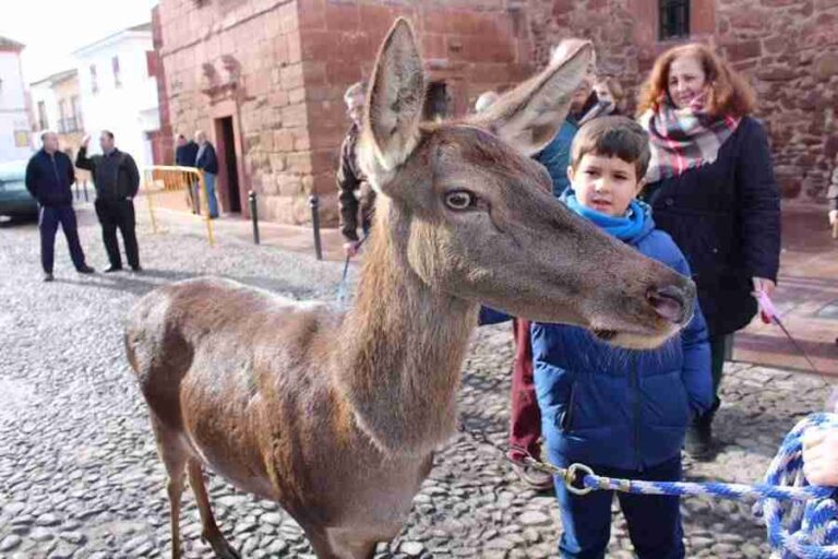San Antón, da comienzo a la fiesta de las hogueras