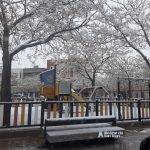 Nieve en las calles de Alcázar de San Juan 3