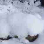 Las Lagunas de Ruidera cubiertas por la nieve 8 Las Lagunas de Ruidera cubiertas por la nieve 8