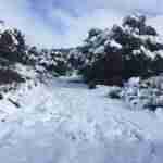 Las Lagunas de Ruidera cubiertas por la nieve 13 Las Lagunas de Ruidera cubiertas por la nieve 13