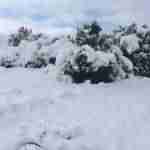 Las Lagunas de Ruidera cubiertas por la nieve 3 Las Lagunas de Ruidera cubiertas por la nieve 3