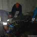 Los quintanareños celebran con una amplia participación el Entierro de la Sardina 8