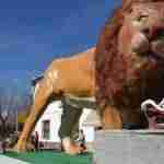 La magia de Harúspices consigue el primer premio del desfile de Carnaval de Almagro 6