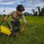 El odio patrocinado por el Estado hace surgir una nueva era de activismo social 21 El odio patrocinado por el Estado hace surgir una nueva era de activismo social 21