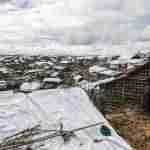 El odio patrocinado por el Estado hace surgir una nueva era de activismo social 28 El odio patrocinado por el Estado hace surgir una nueva era de activismo social 28