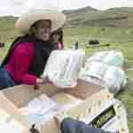 El odio patrocinado por el Estado hace surgir una nueva era de activismo social 37 El odio patrocinado por el Estado hace surgir una nueva era de activismo social 37