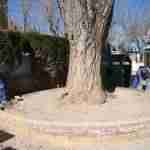 Quintanar de la Orden realiza mejoras y adecenta los Parques Infantiles de la localidad 4 Quintanar de la Orden realiza mejoras y adecenta los Parques Infantiles de la localidad 4