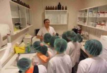 El CEIP Alces de Alcázar de San Juan visita el hospital Mancha Centro 3 El CEIP Alces de Alcázar de San Juan visita el hospital Mancha Centro 3