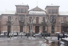 Fotografías de la nieve en Alcázar de San Juan 16