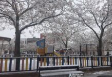 Fotografías de la nieve en Alcázar de San Juan 18