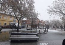 Fotografías de la nieve en Alcázar de San Juan 21
