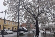 Fotografías de la nieve en Alcázar de San Juan 22