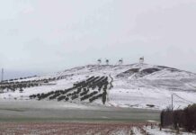 Fotografías de la nieve en Alcázar de San Juan 14