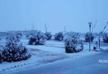 Fotografías de la nieve en Alcázar de San Juan 1