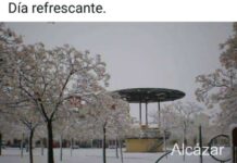 Fotografías de la nieve en Alcázar de San Juan 4
