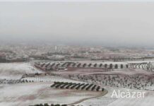 Fotografías de la nieve en Alcázar de San Juan 5