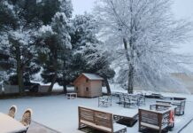 Fotografías de la nieve en Alcázar de San Juan 9