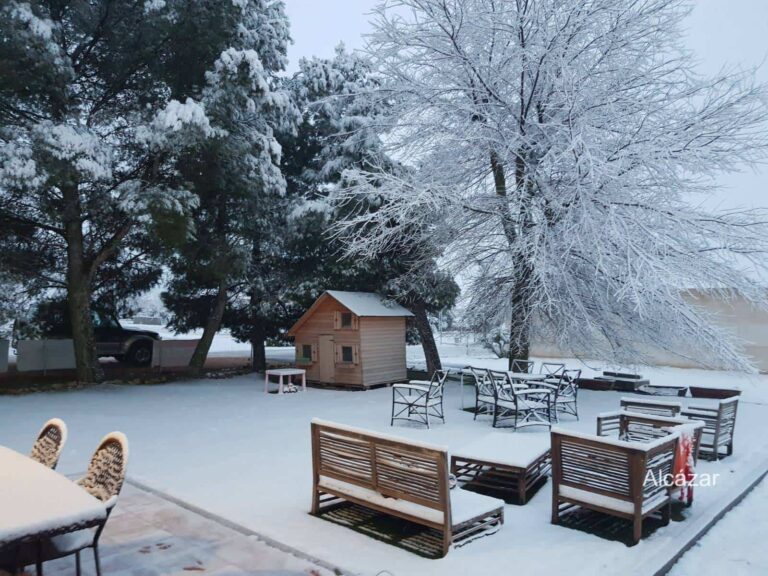 Fotografías de la nieve en Alcázar de San Juan