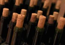 Fotogalería IX edición de Concurso Regional de Vinos Tierra del Quijote “1000 no se equivocan” 20