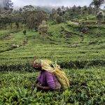 lachicadelte 150x150 - Votaciones abiertas del concurso de fotos: ¡Sí!, mujer tenía que ser