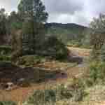 sierra madridejos arroyos 4 150x150 - Sierra de Madridejos llena de vida y agua