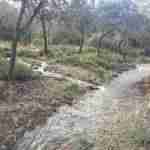 sierra madridejos arroyos 3 150x150 - Sierra de Madridejos llena de vida y agua