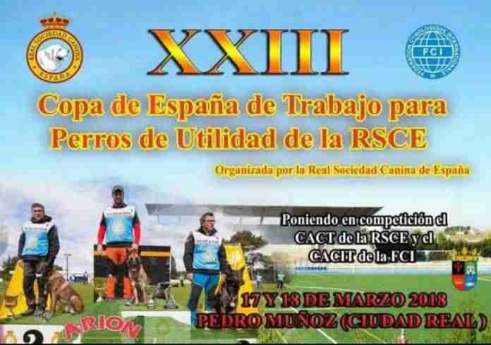 XIII Copa de España de trabajo para perros de utilidad de la RSCE 1