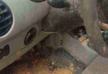 Furgoneta robada en Herencia ha sido recuperada en Madridejos 12