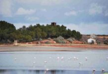 El Complejo Lagunar de Villafranca empiezan a recibir agua 1 El Complejo Lagunar de Villafranca empiezan a recibir agua 1