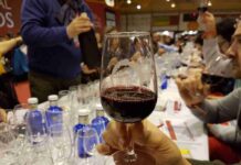 Fotogalería IX edición de Concurso Regional de Vinos Tierra del Quijote “1000 no se equivocan” 29
