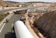 Un accidente con elefantes en la Autovía A-30 en Albacete 1