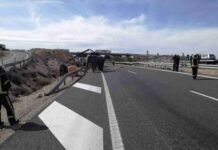 Un accidente con elefantes en la Autovía A-30 en Albacete 11