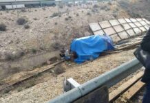 Un accidente con elefantes en la Autovía A-30 en Albacete 5